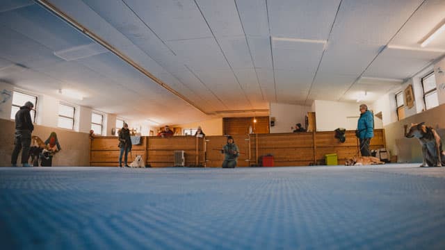 Indoor Training Titelbild
