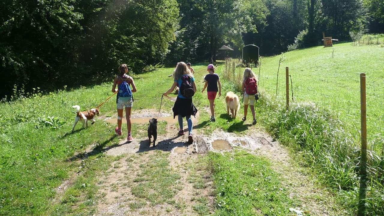 Kinderprogramm Spaßparcours
