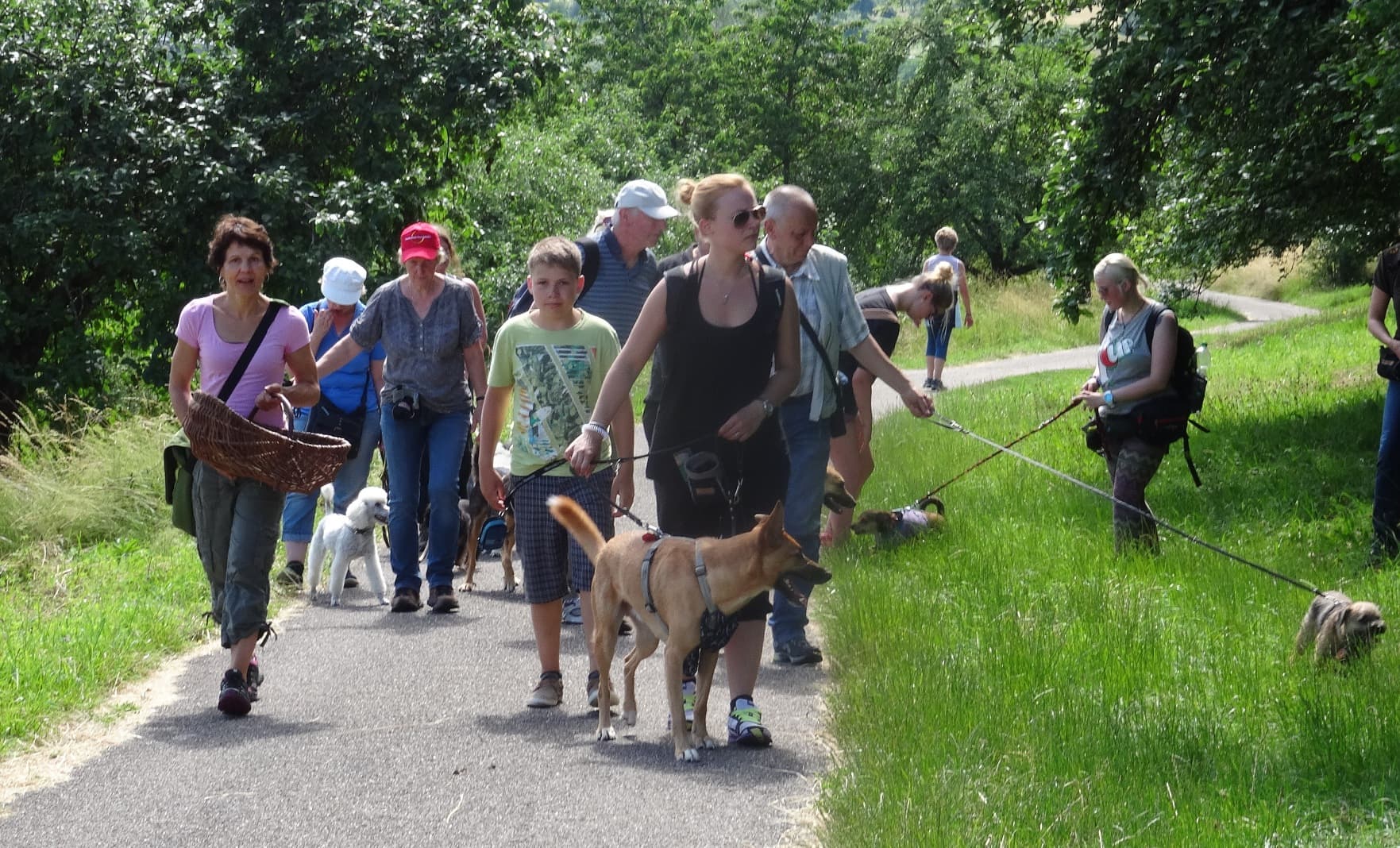 Social Walk