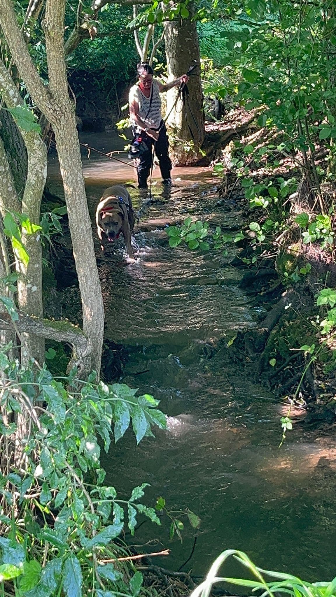 Mantrailing am & im Wasser