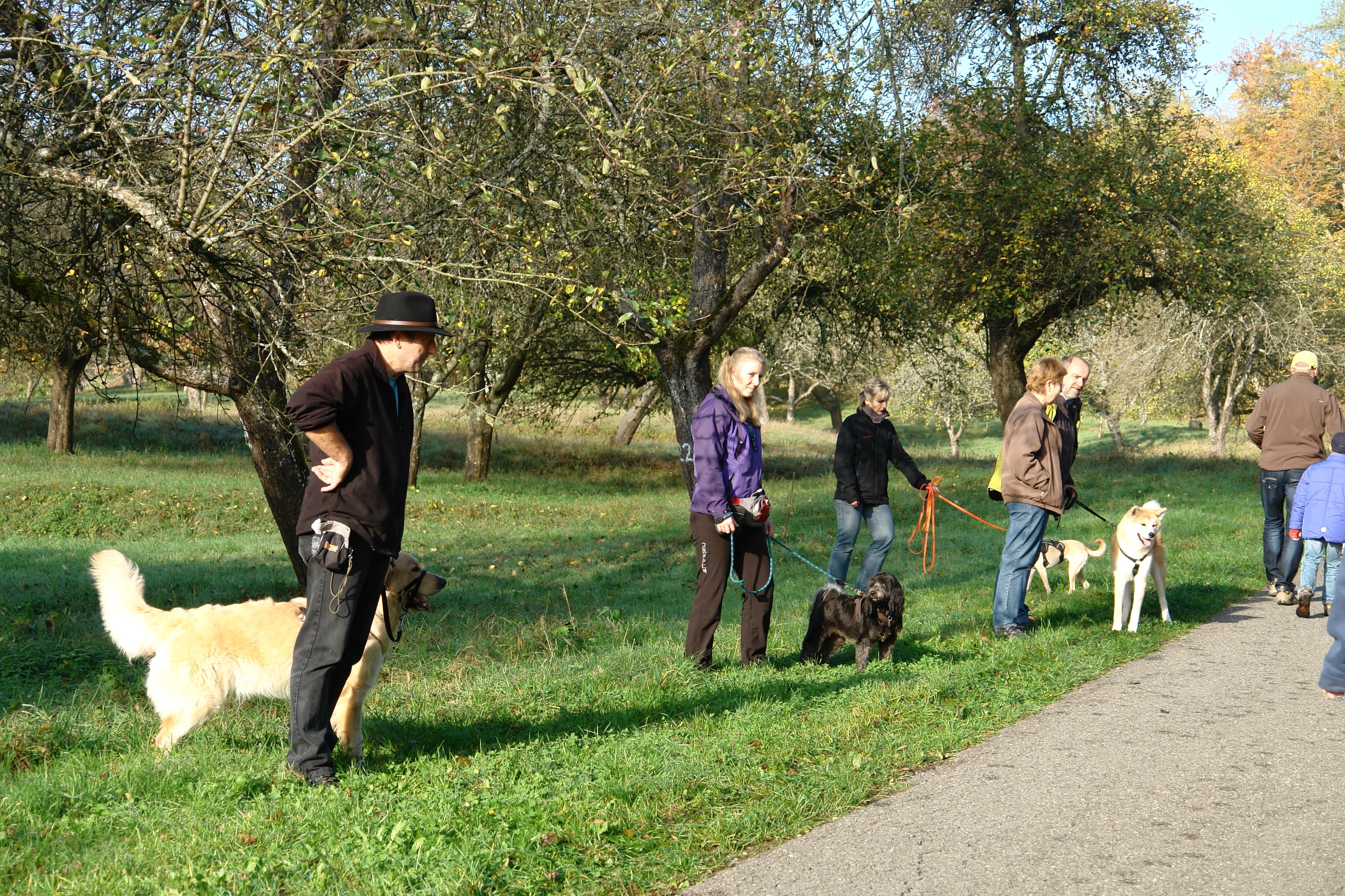 Geführter Spaziergang mit Beschäftigung und Freilauf