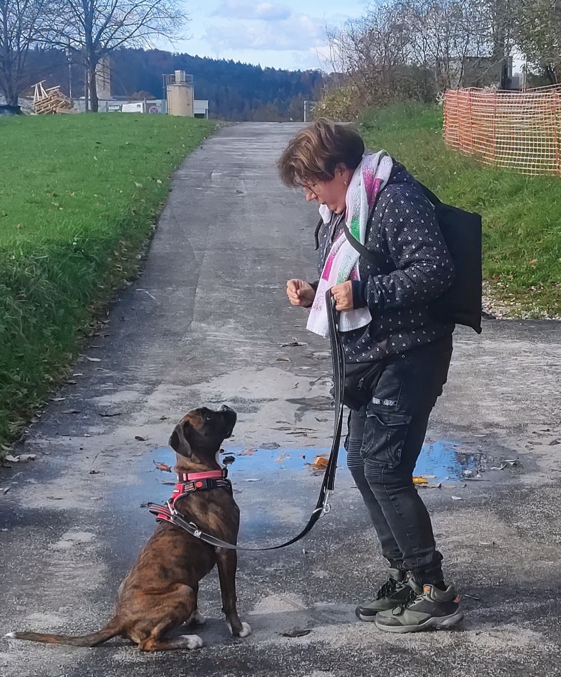 Mein Hund - mein Spiegel