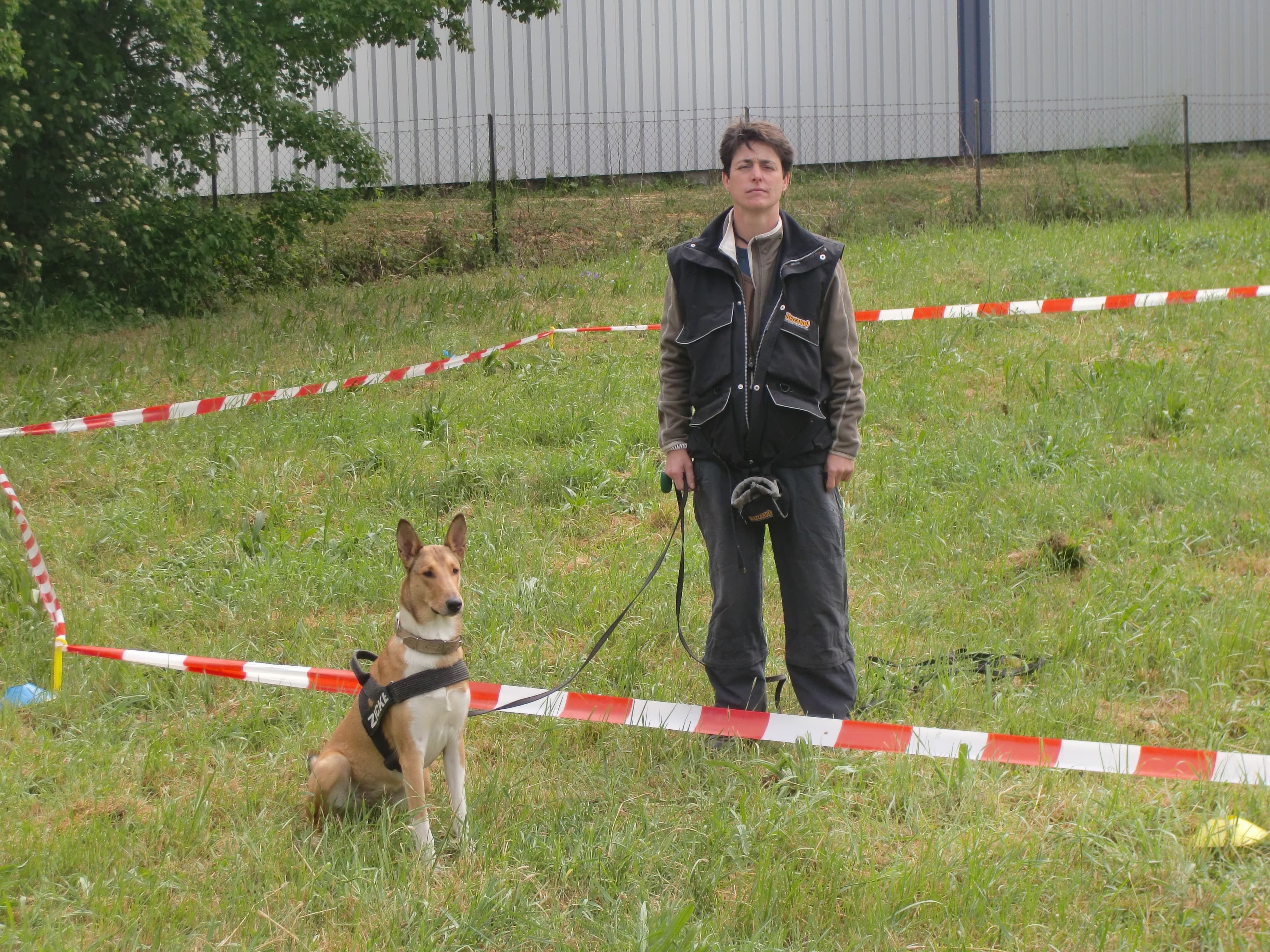Alltagstraining trifft Longieren