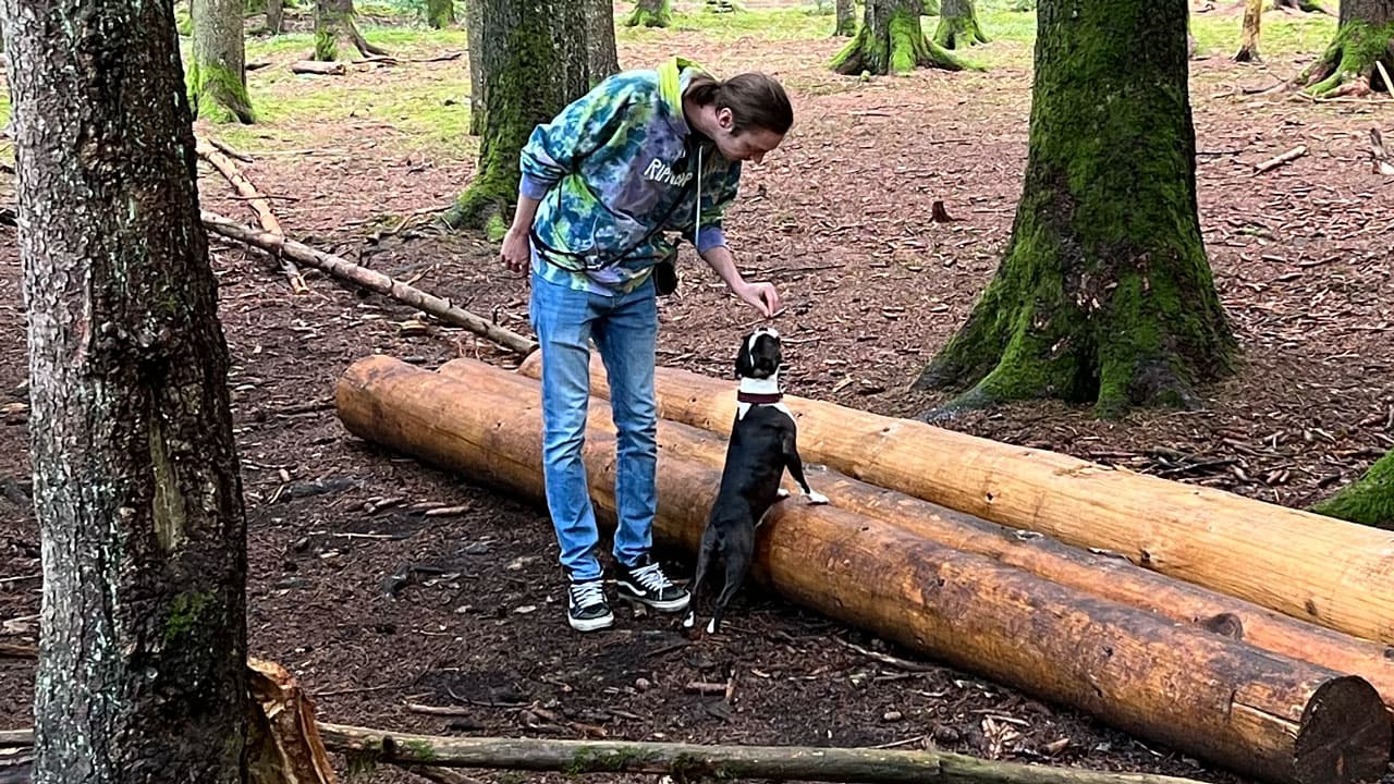 Hunde-Physio-Spaziergang