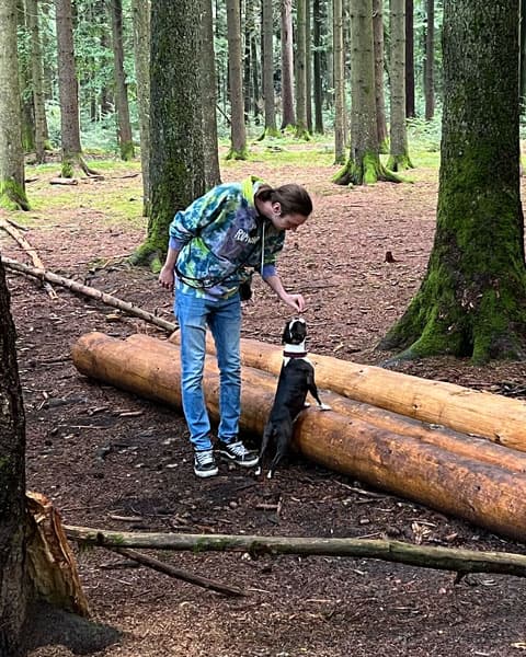 Hunde-Physio-Spaziergang