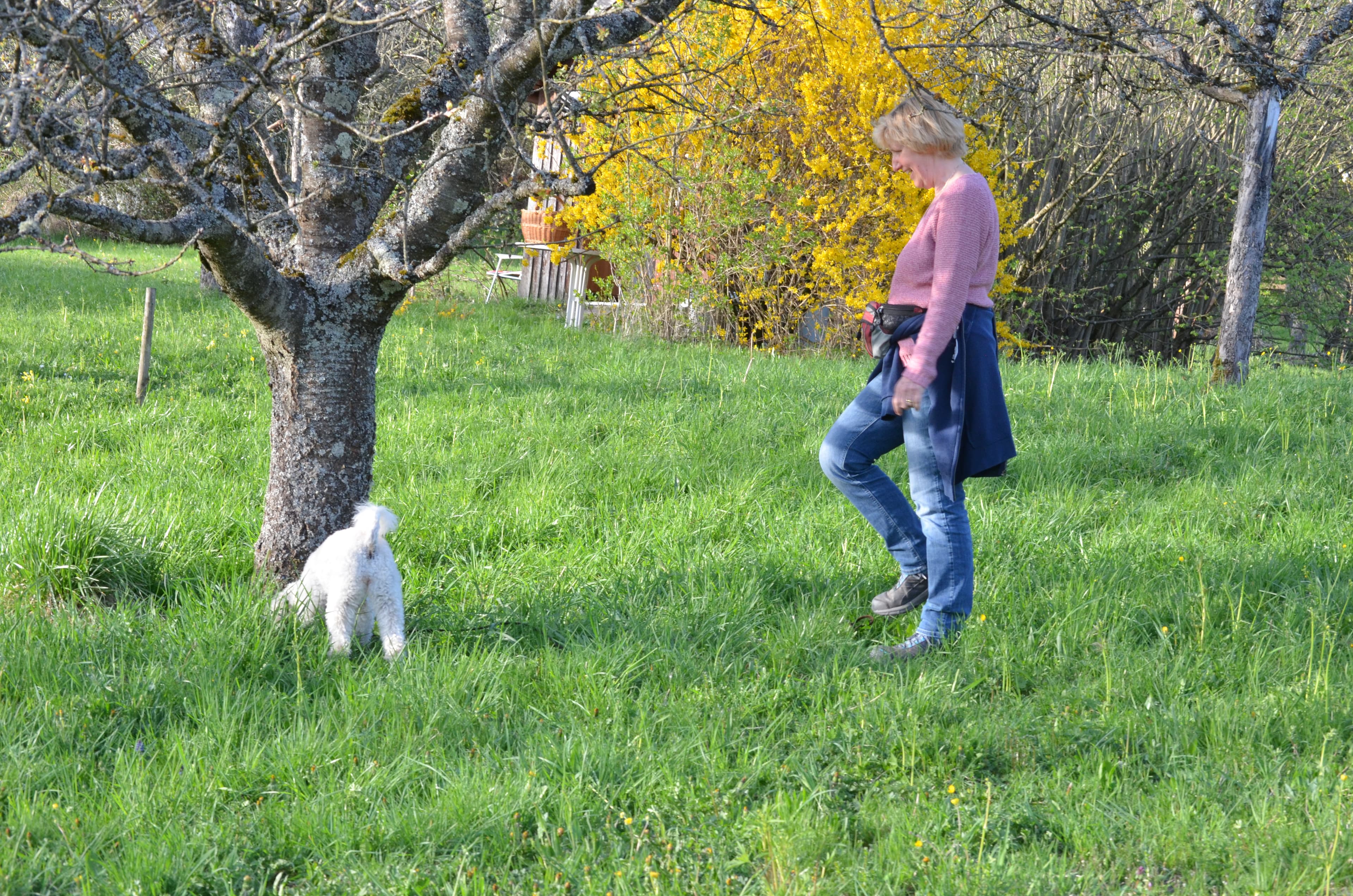 Schleppleinentraining - das richtige Handling