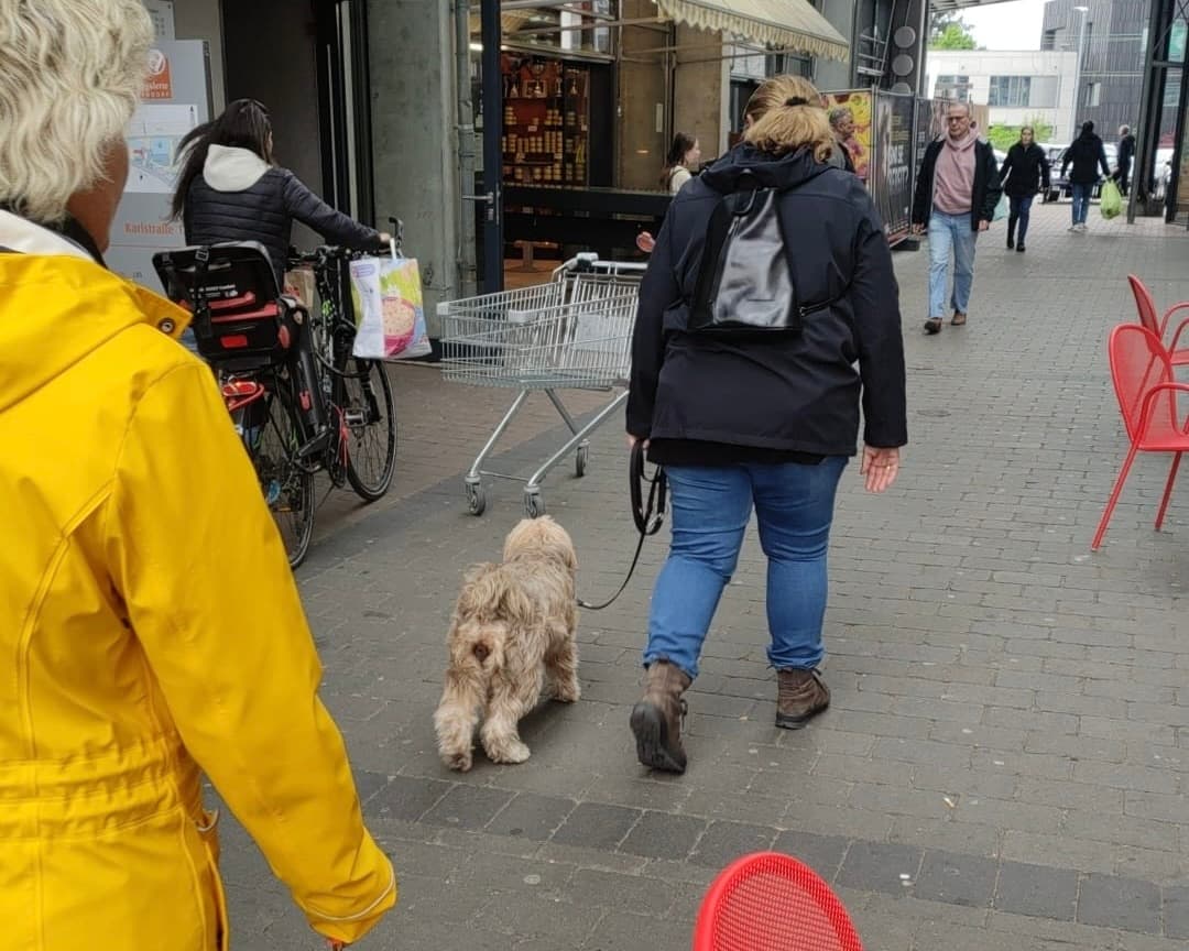 Stadttraining mit Stefi