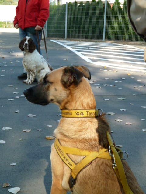 Fun and Work (Offene Gruppe)