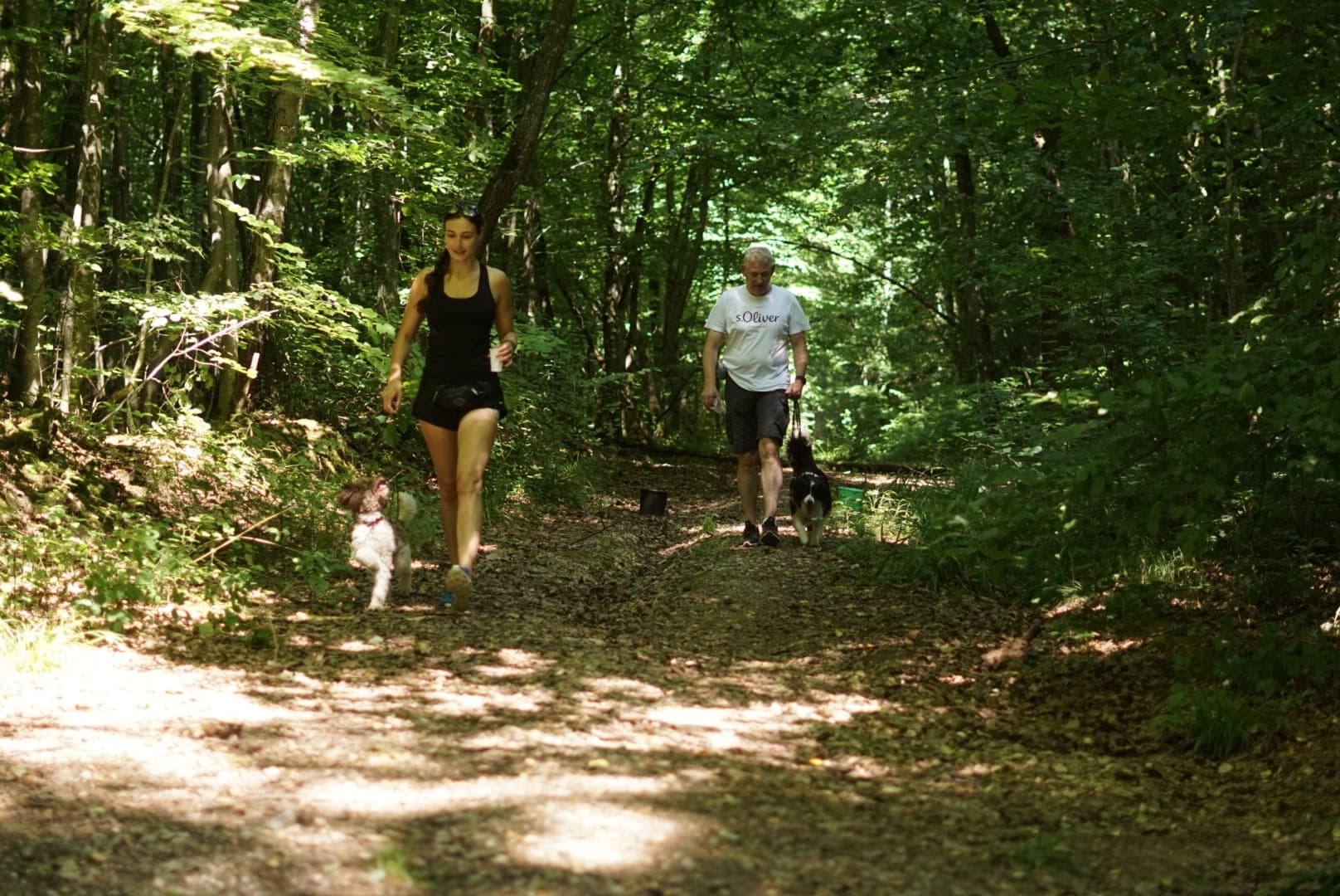 Geselliges Wandern