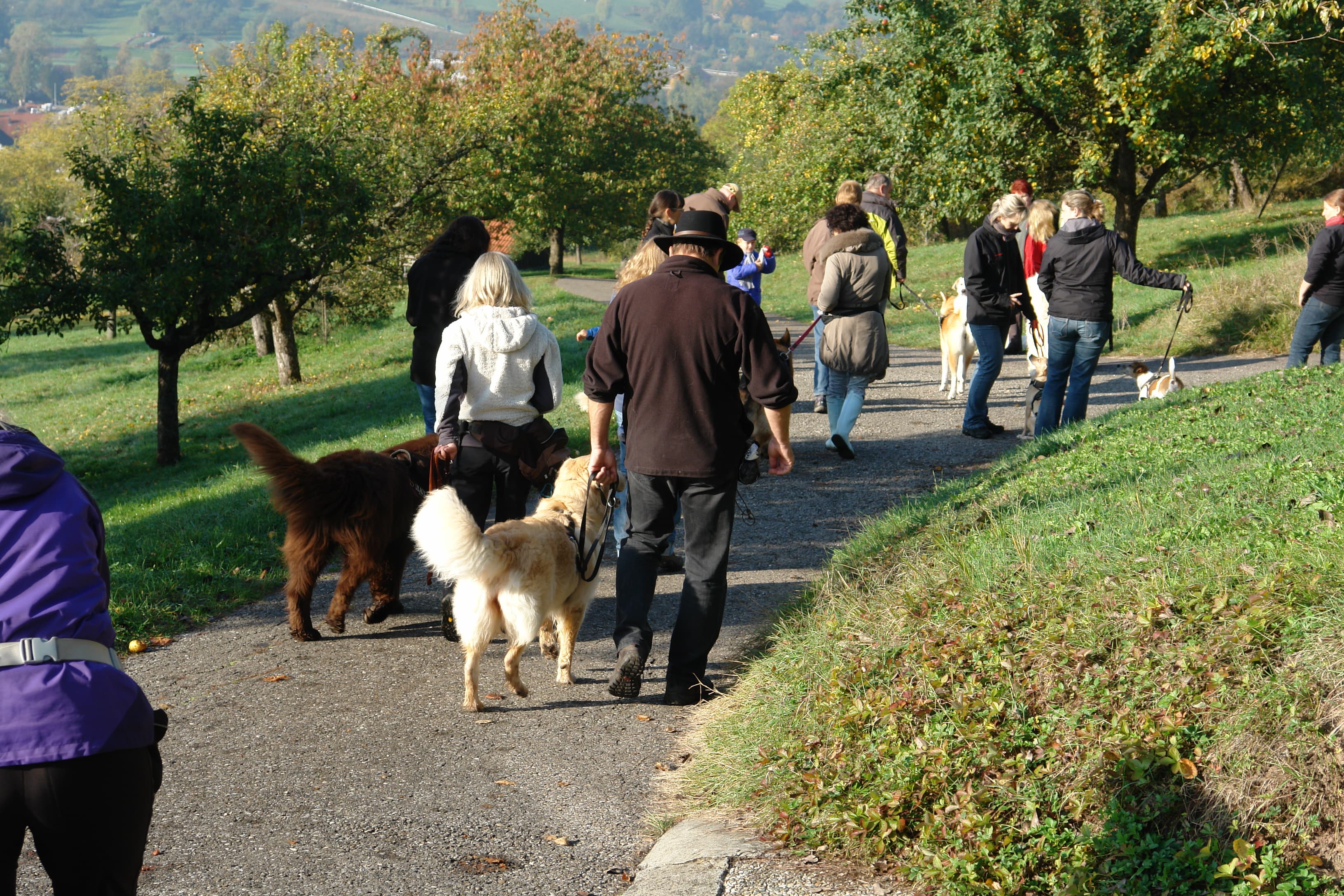 Geführter Spaziergang mit Beschäftigung und Freilauf