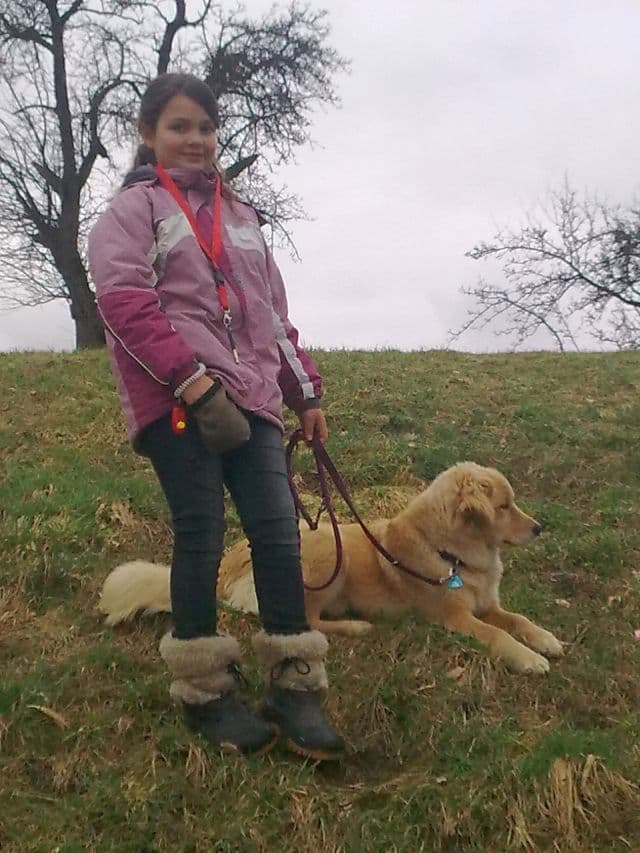 Rock with your dog