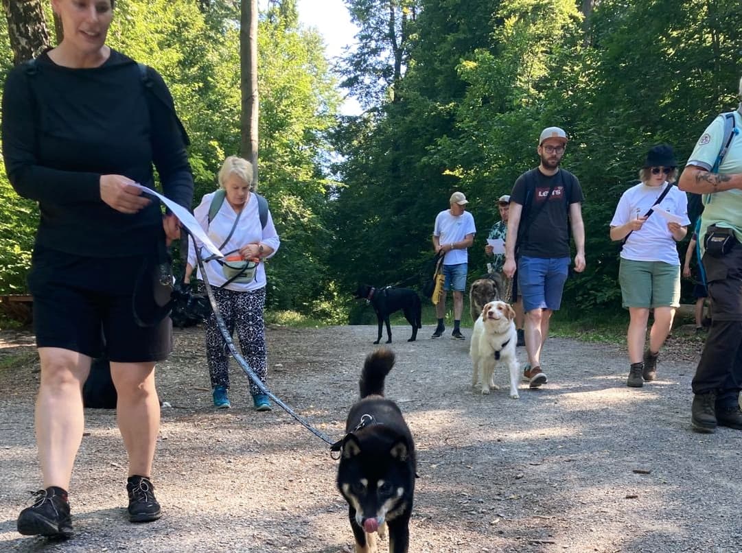 Begegnungstraining für alle Mensch-Hunde-Teams – entspannt mit anderen Hunden spazieren gehen (Leinenspaziergang)