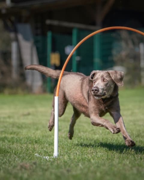 Hoopers – Schnupperworkshop