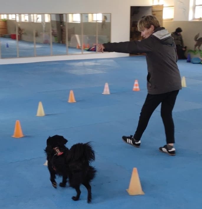Sportstunde für alle Hunde, die neben anderen Hunden arbeiten können.