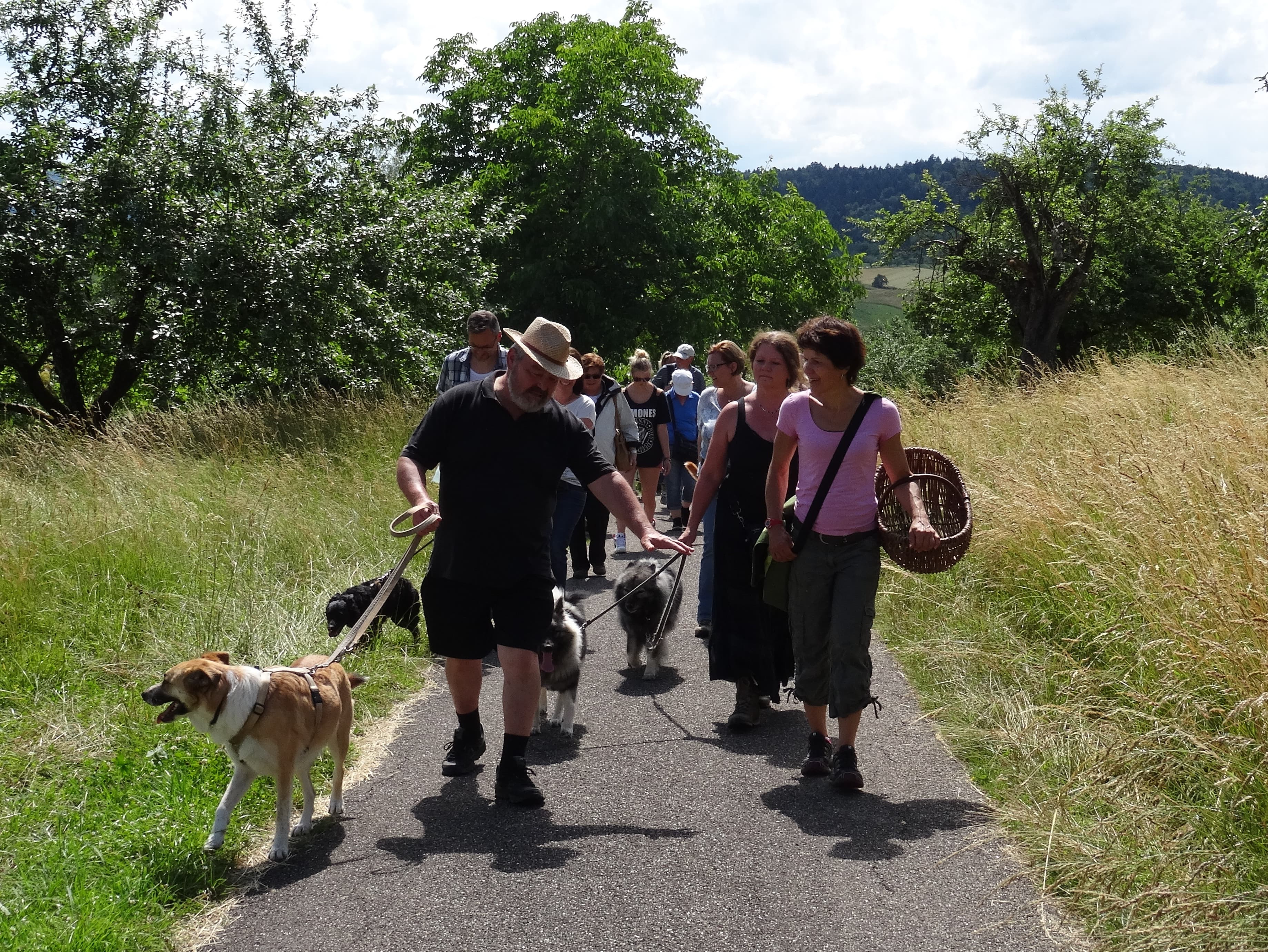 Social Walk