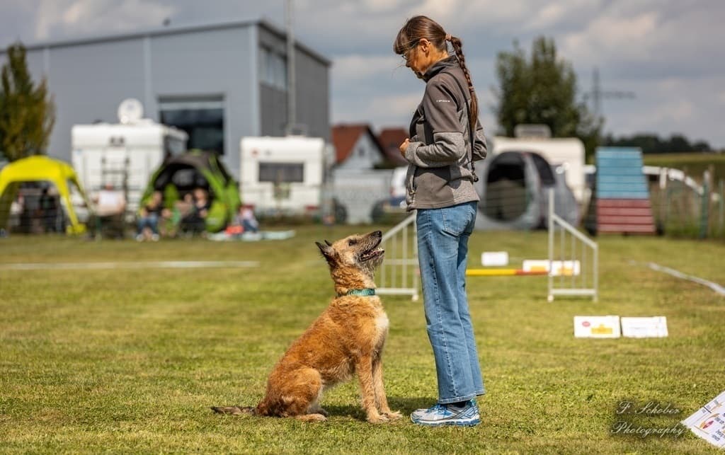 Rally Obedience (Beginner)