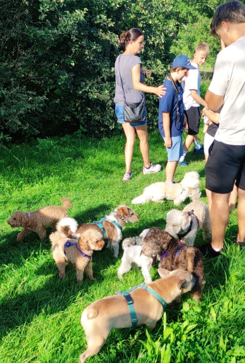 Hero background