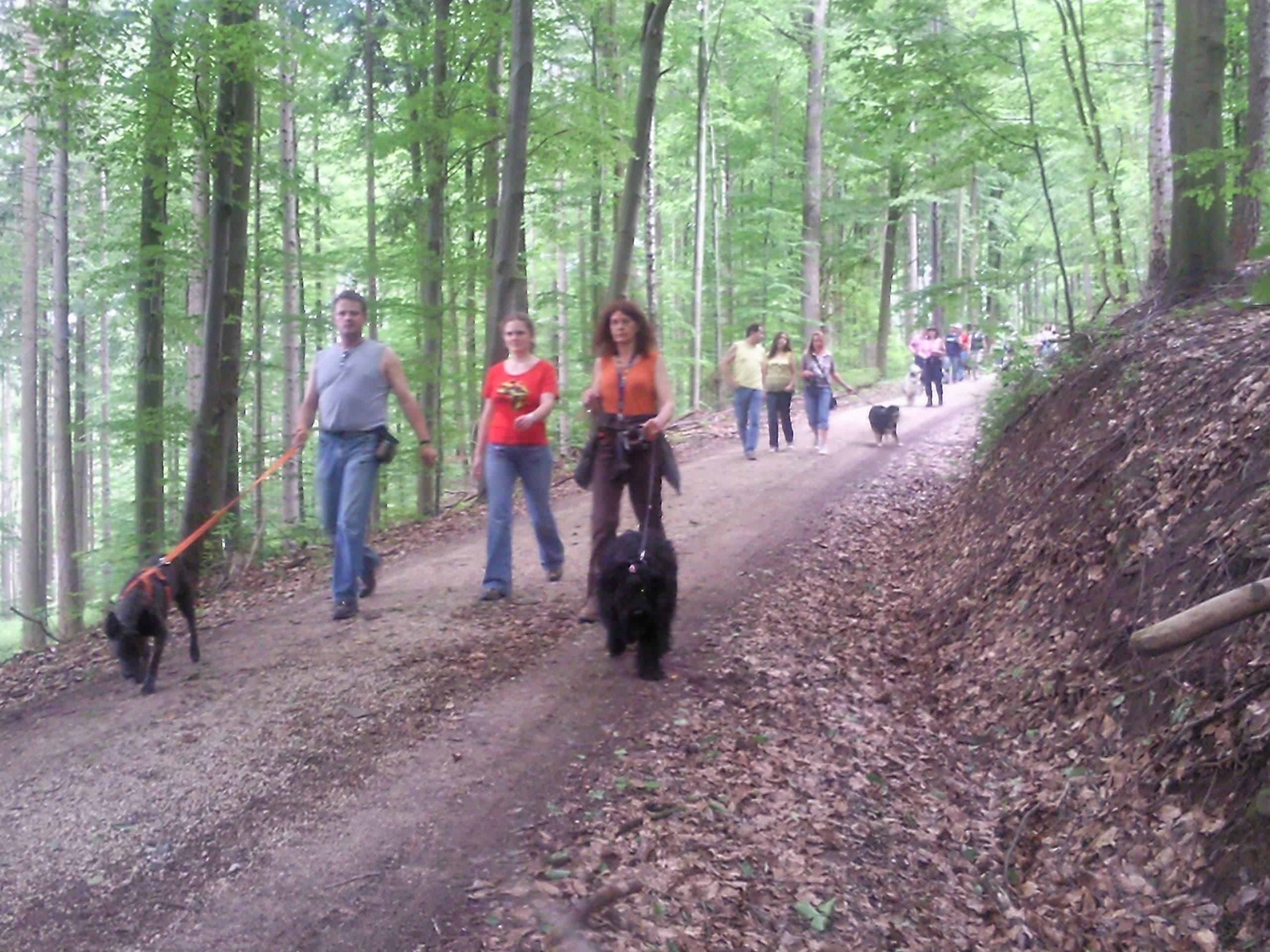 Leinenspaziergang am 31.05.2026, 9h30 - 11h für alle Vierbeiner ob dick oder dünn, jung oder alt, ruhig oder lebhaft, verspielt oder auf Abstand bedacht. Titelbild