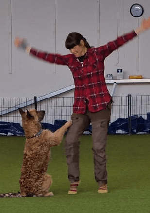 Rally Dogdance - Tricks, Teamwork, Bewegung + Spaß! Und das alles in einer Stunde? Na klar. Titelbild