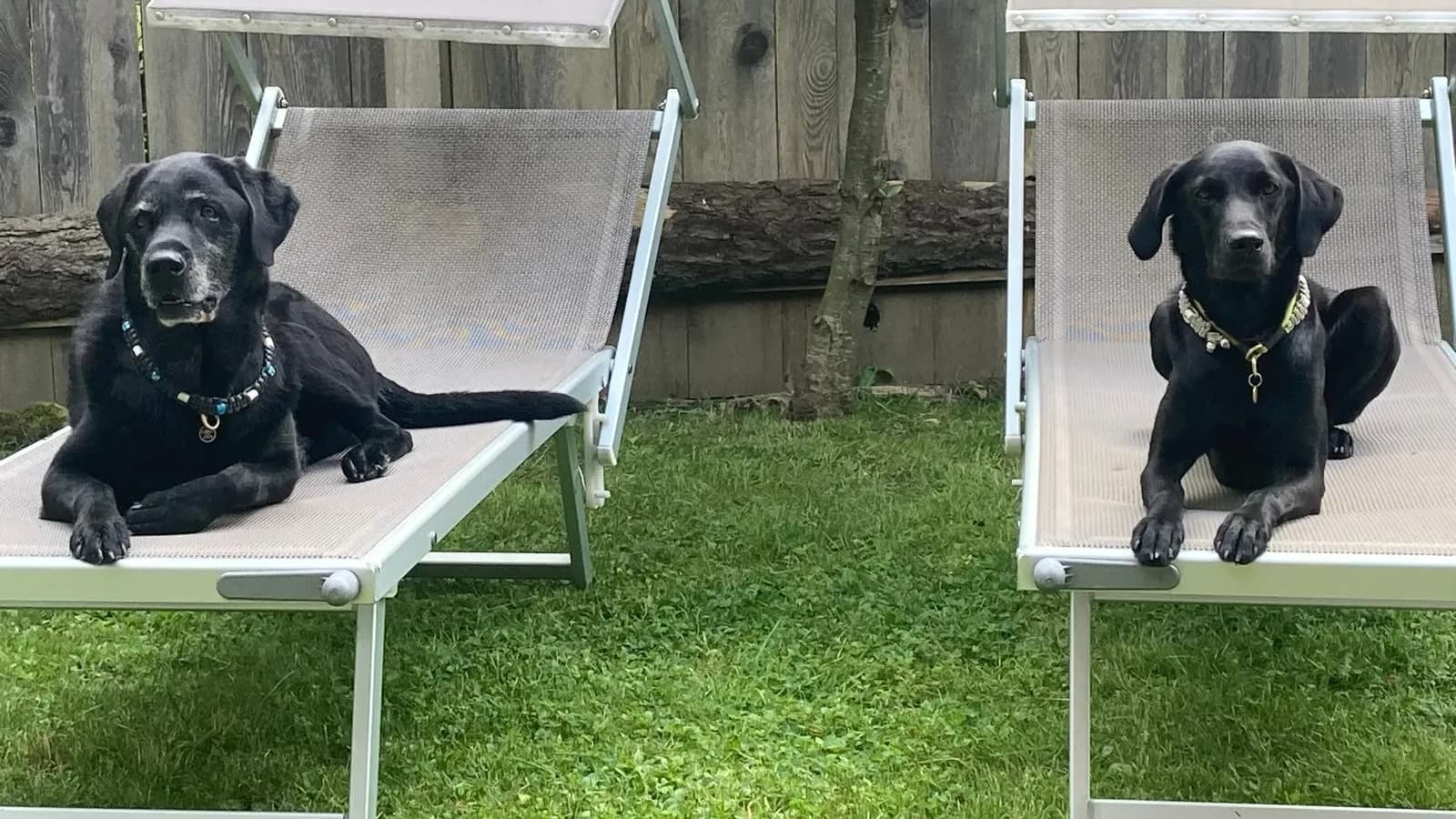 Bald gehts wieder los - in Kürze kommen die ersten News zu unserer Sommerakademie :) Titelbild